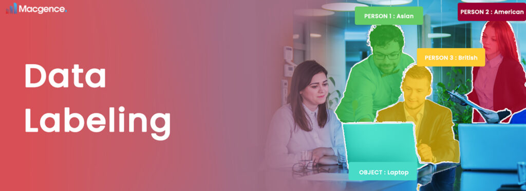 AI-Assisted Data Labeling in Ethnicity Image Collection