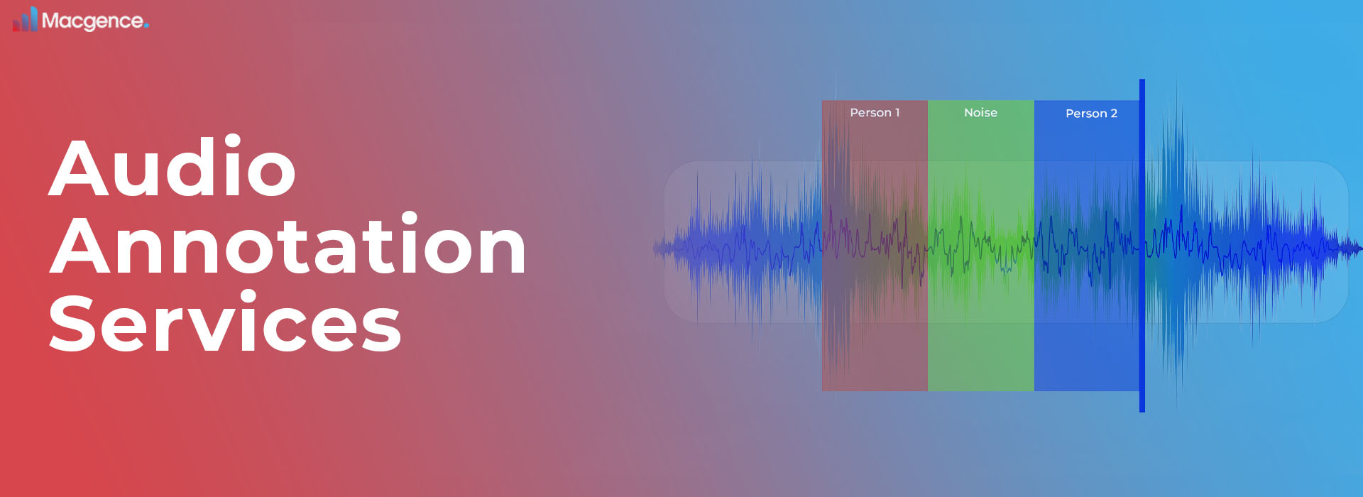 Audio Annotation services