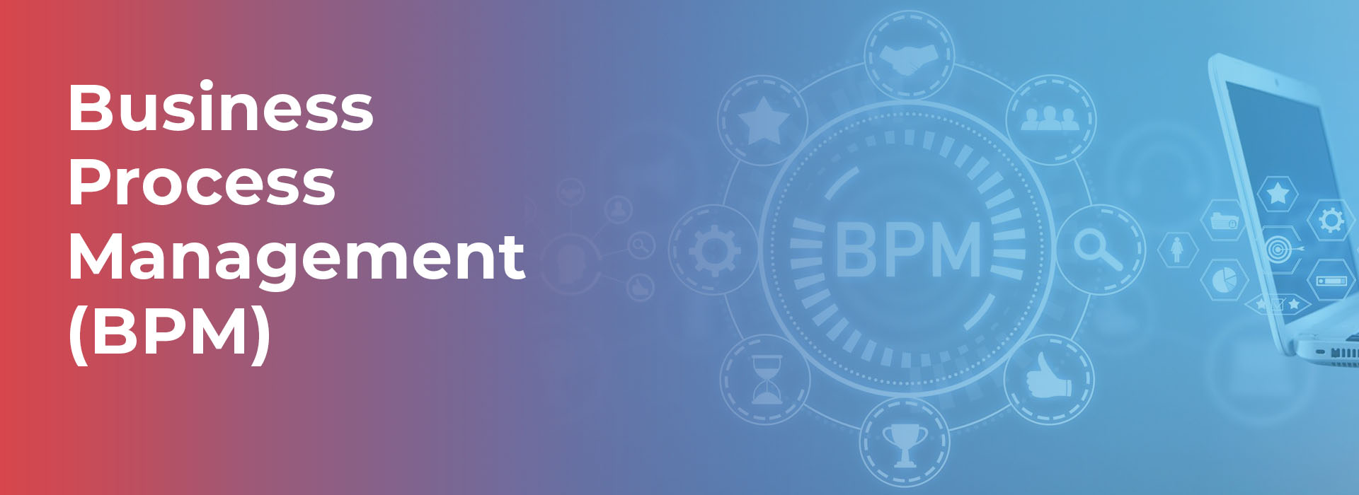Business Process Management (BPM)