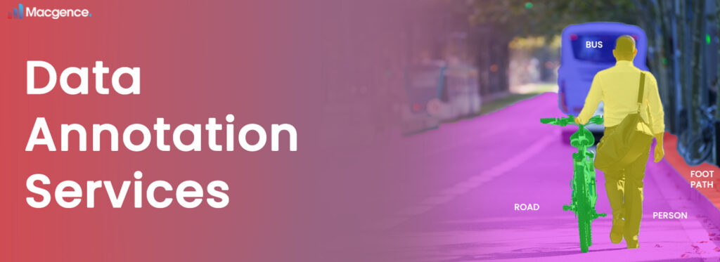 Data Annotation Services