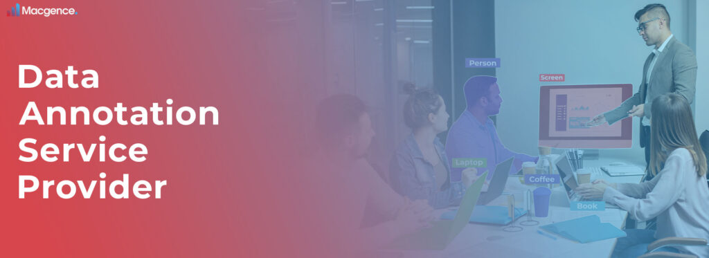 Data annotation service provider