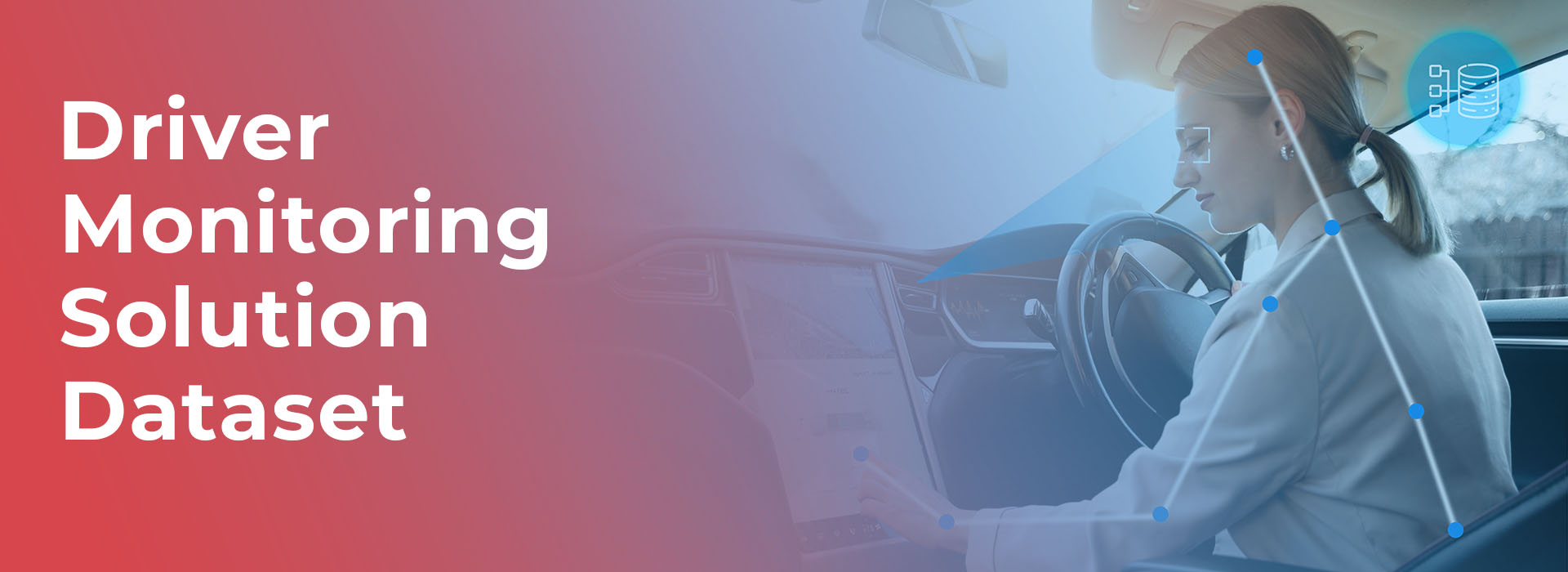 Driver Monitoring Solution Dataset