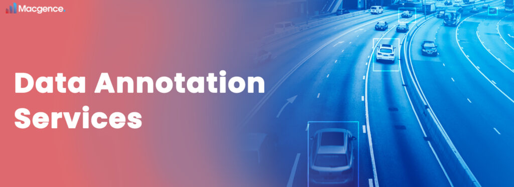 Elevating AI Models with Expert Data Annotation Services