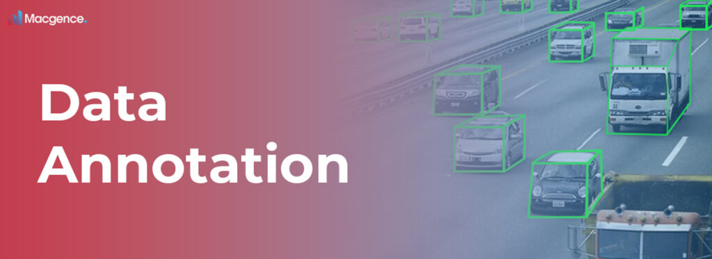 Enhancing Driver-Focused Data Annotation with Image Object Annotation Services