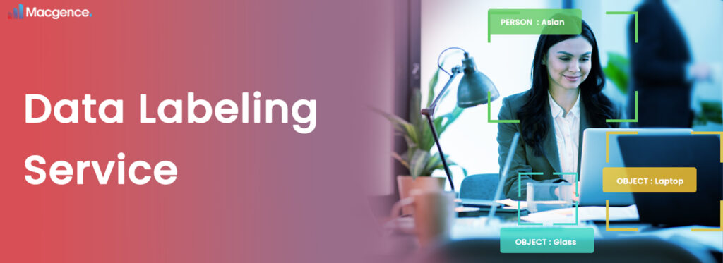 Ideal Practices for Ethnicity Image Annotation Using AI Platform Data Labeling Service