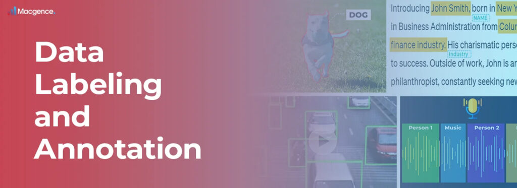 Macgence_s Data Labeling and Annotation Services to Empower Your AI ML Models in 2024