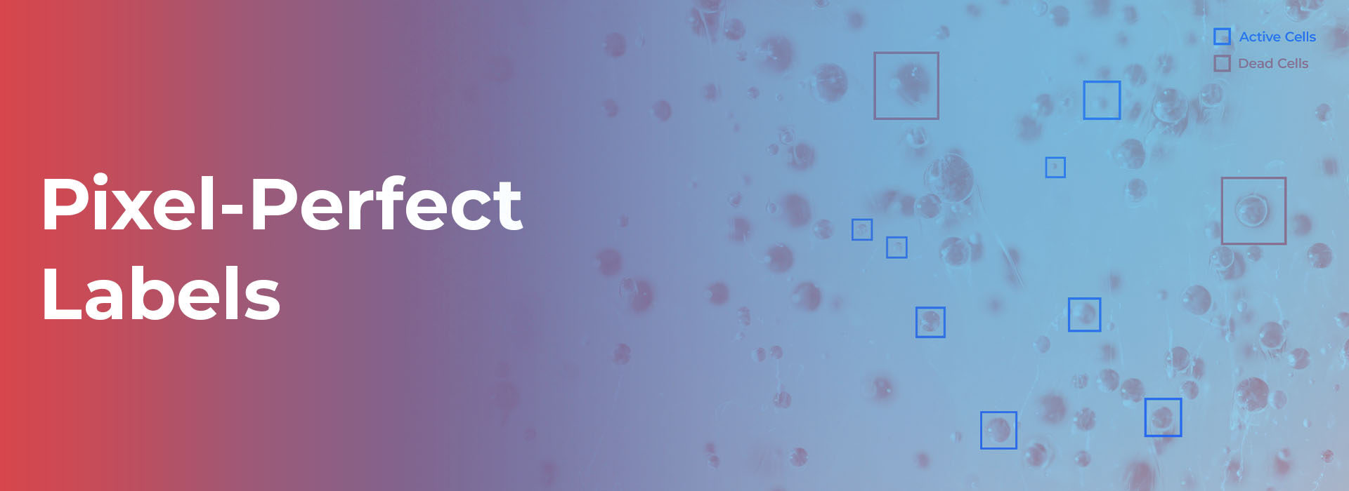 Pixel-Perfect Labels