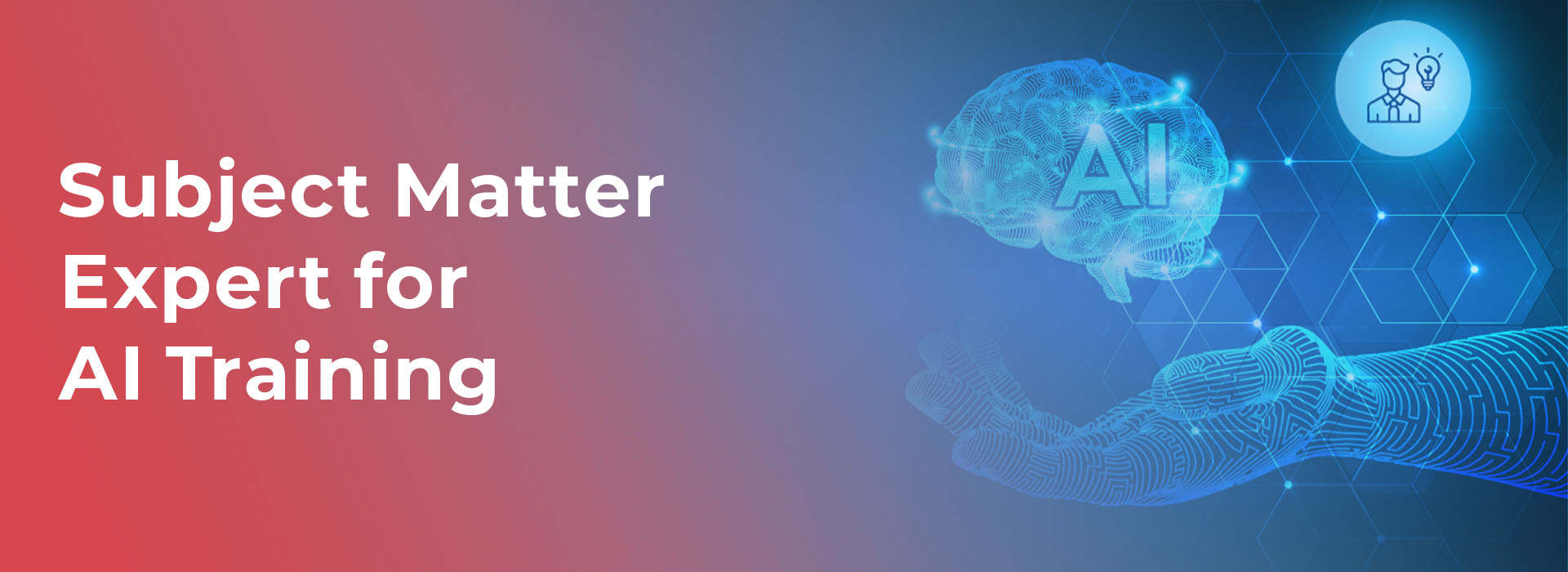 Subject Matter Expert for AI Training