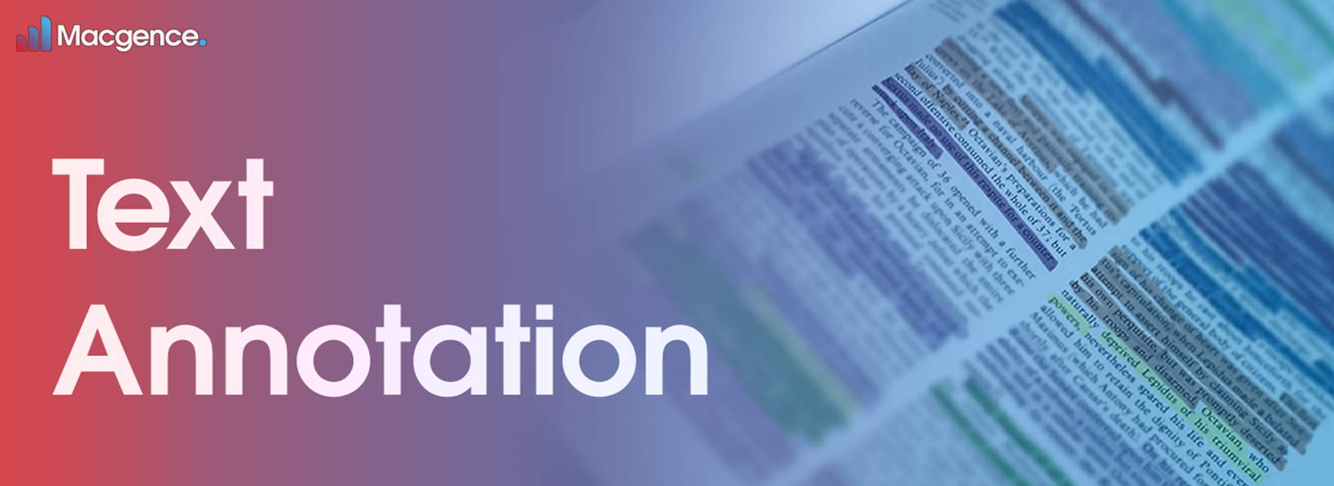 Text Annotation
