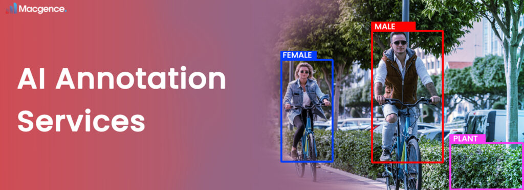 Vital Checklist When Looking for AI Annotation Services in Ethnicity Image Collection