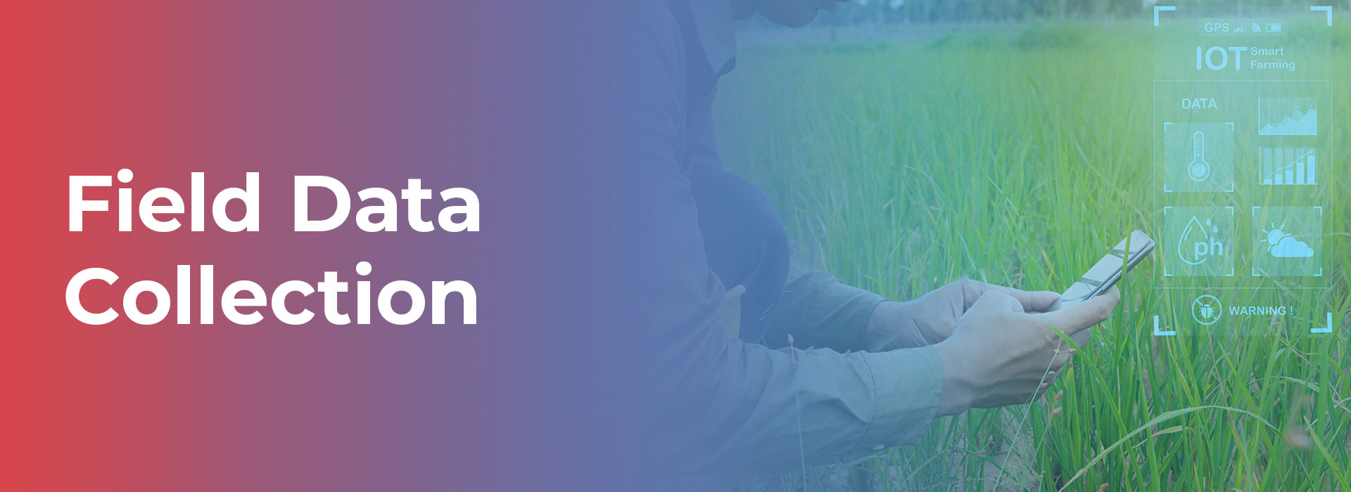 field Data Collection