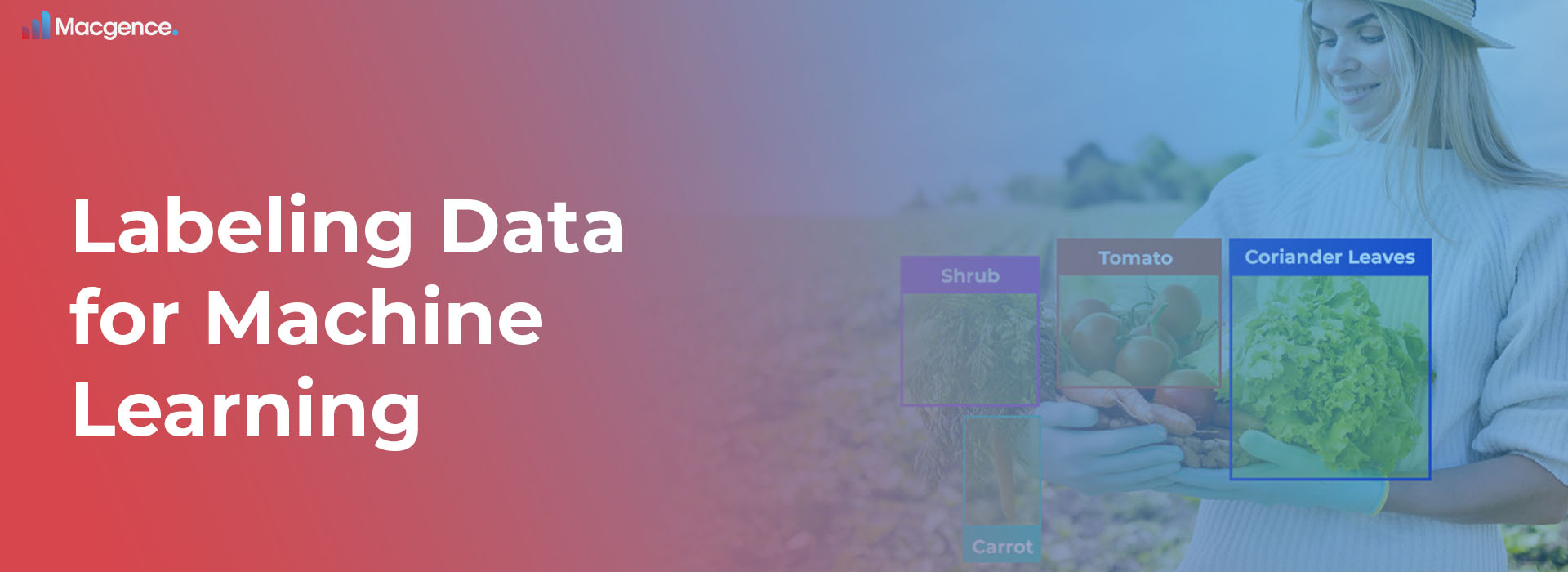labeling data for machine learning